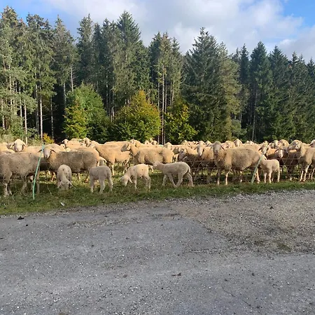 Hotel Restaurant Schwane Messstetten